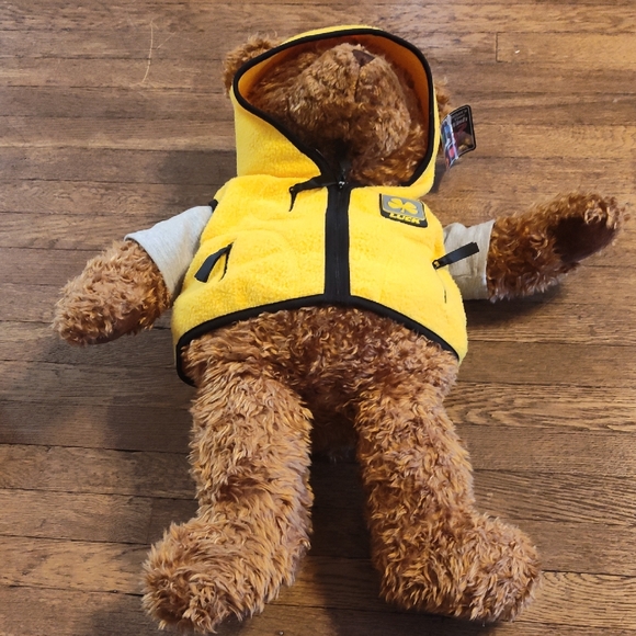 Gund Other - Vintage Gund Wish Bear Limited Edition Luck Bear 2000 2001 EUC